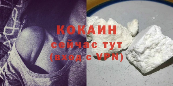 спиды Арсеньев